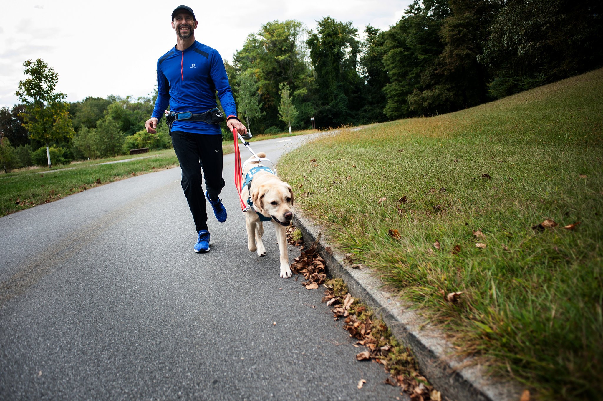 man in blue shirt walking with yellow lab guide dog 