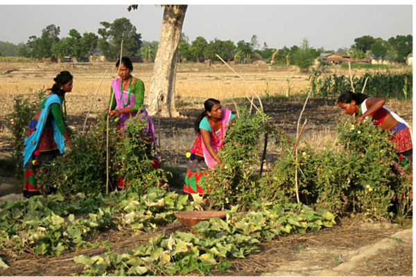 farming women Nepal