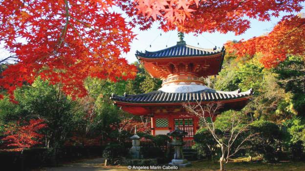 Japanese Pagoda with red fall leaves photo by - Angeles Marin 