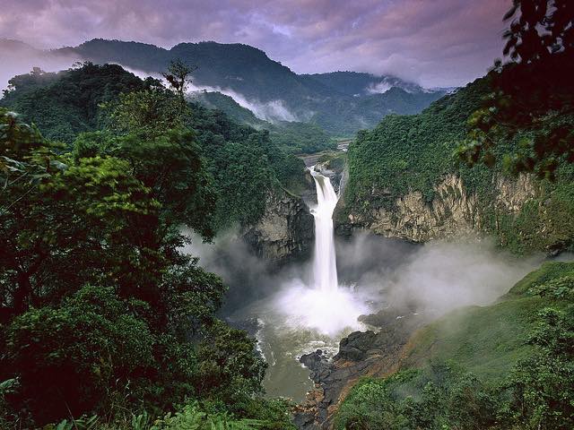 rainforest waterfall