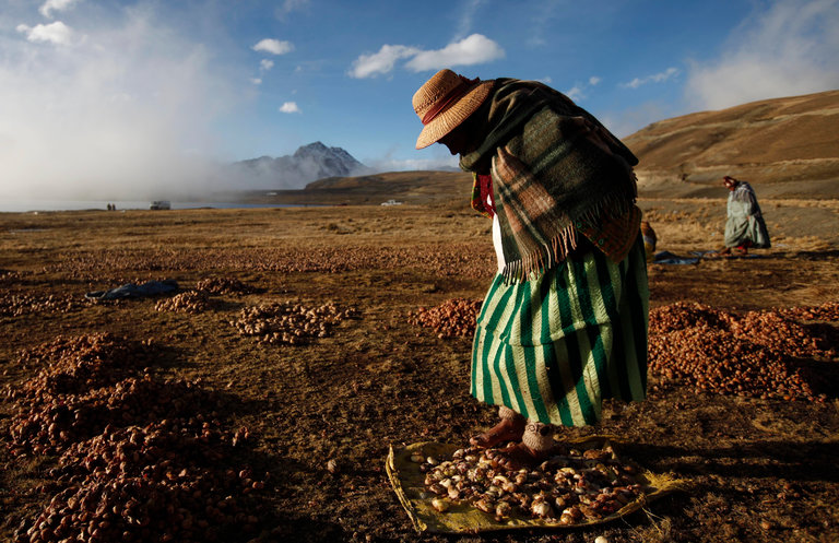 Chuño Incas food storage