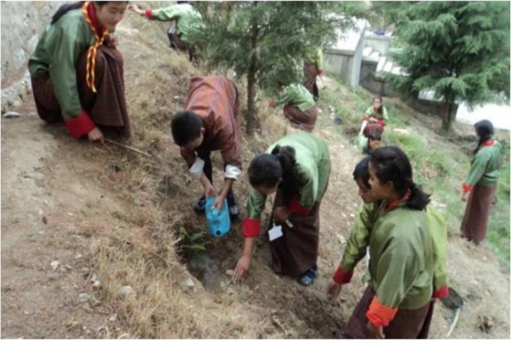 planting trees Bhutan