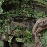 Ta Prohm Temple, Angkor, Cambodia