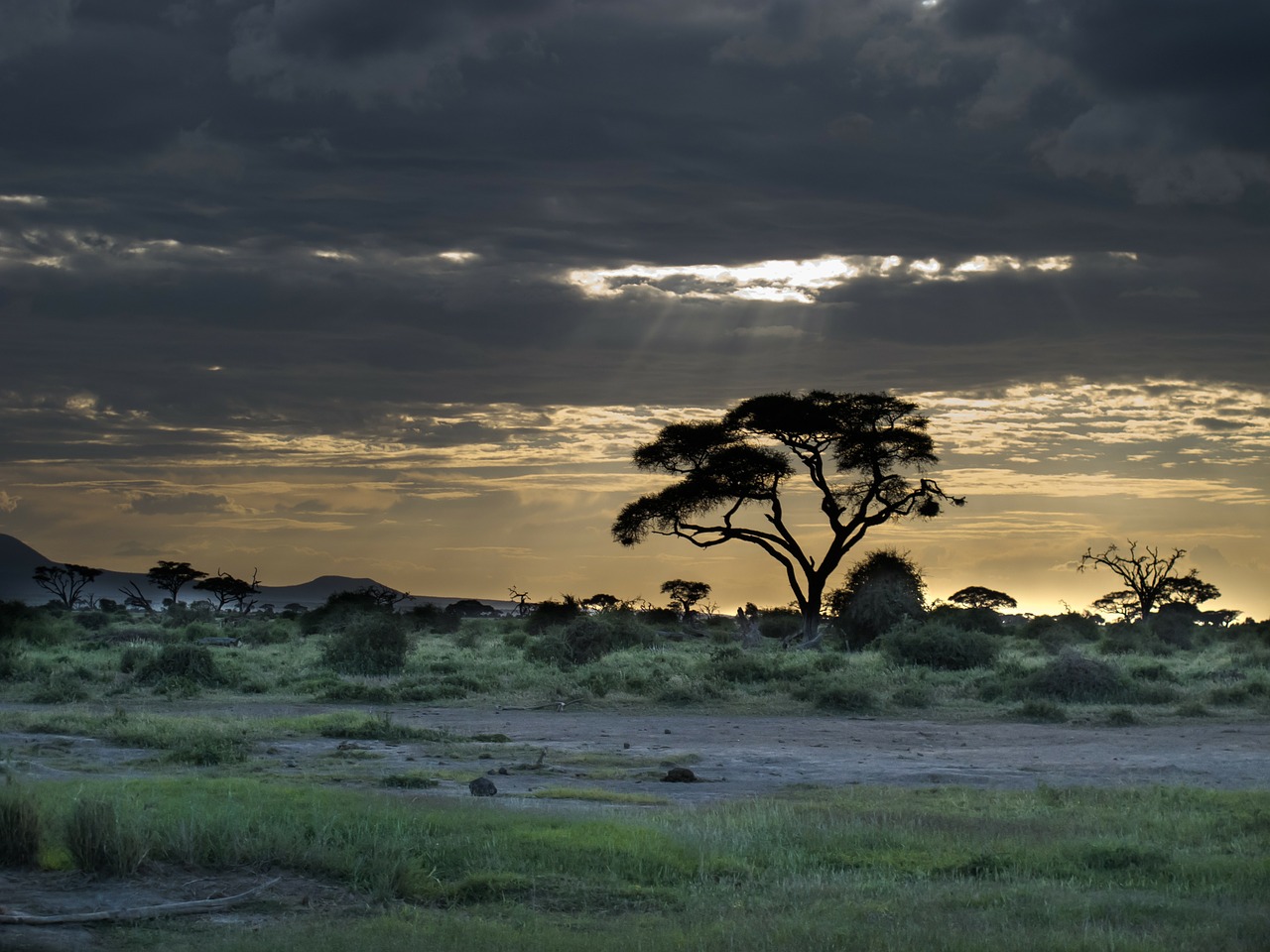 African landscape sunset