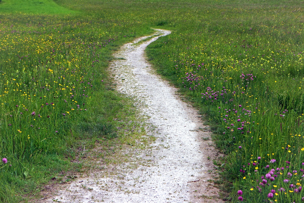 path, field